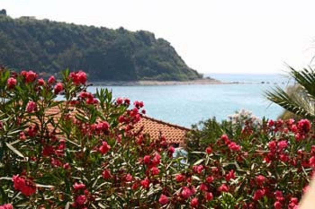 Baia Tropea Resort Parghelia Bagian luar foto